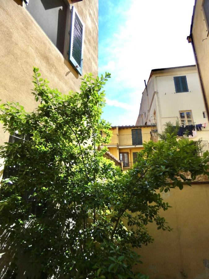 Maila Apartments 25Min From Florence Πράτο Εξωτερικό φωτογραφία